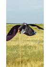 Чучело гуся  флюгер  - махокрыл ветровой